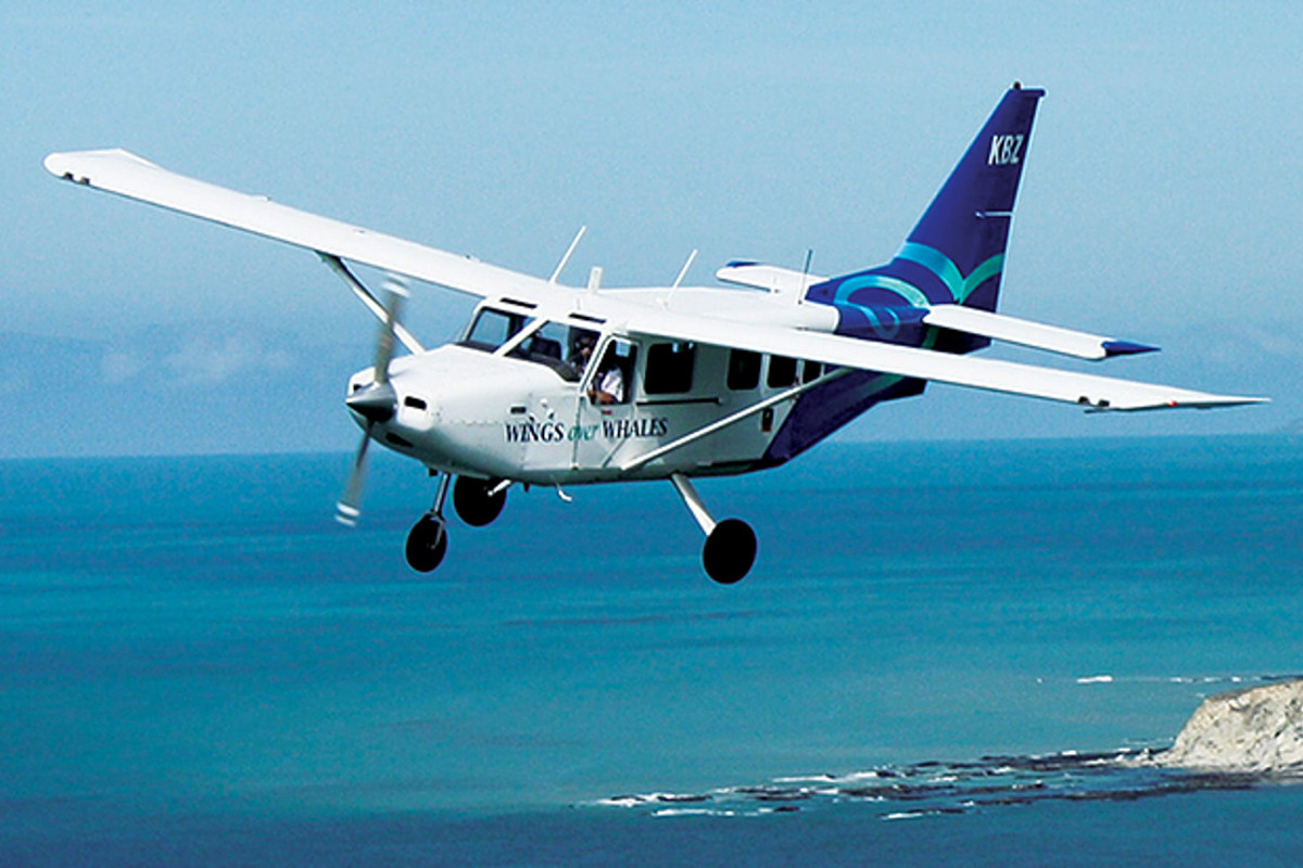 Experience Kaikoura’s mighty Sperm whale, playful Dusky Dolphins, and majestic scenery from above! The scenic flights showcase the very best of Kaikoura: from Seaward Kaikoura Mountain Ranges, to the Pacific Ocean and the Kaikoura Peninsula.